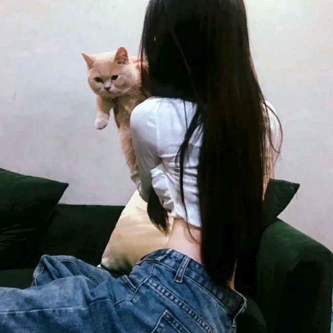 另一部鸡蛋电影与一只小鸡